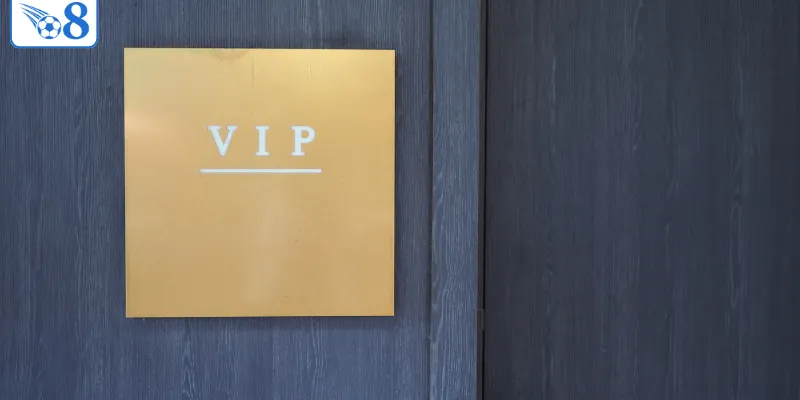 Thông tin hoạt động VIP